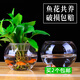 玻璃水培植物花瓶花盆 大號容器透明恐龍蛋水養綠蘿花瓶魚(yú)缸器皿 玻璃圓球+定植籃 特大號