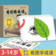智美貝貝成語(yǔ)卡片小學(xué)1-6年級(jí)成語(yǔ)幼兒童趣味漫畫看圖猜成語(yǔ)釋義成語(yǔ)卡片 成語(yǔ)卡片1
