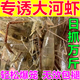 老偏方抓河蝦餌料河蝦誘餌強力誘食劑老偏方爆籠餌料捕蝦靈魚(yú)蝦黃鱔通用 一袋