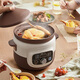小熊（Bear）電燉鍋 煲湯鍋燉湯鍋 電砂鍋 紫砂鍋 大容量煮粥鍋電湯鍋燉盅燕窩燉盅4L