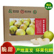 煌陵陜西延安黃陵翡翠梨產(chǎn)地直發(fā)香甜新鮮梨子脆梨酥梨細膩脆甜無(wú)渣 精品翡翠梨（12枚禮盒裝）
