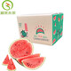 涵果 上海南匯特產(chǎn)8424黑籽西瓜頭茬瓜麒麟西瓜當季新鮮水果現摘現發(fā) 單個(gè)裝5-6斤【新鮮發(fā)貨】