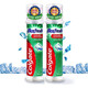 高露潔（Colgate）牙膏直立式按壓式酷爽薄荷香型100ml冰爽清新口氣 100g 2支 高露潔