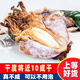 鯊魚哥鯊魚哥特大墨魚干干貨目魚淡曬烏賊干新鮮海鮮小墨魚500g禮盒煲湯 一斤4-5個（自曬無添加）
