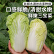 密農(nóng)人家 農(nóng)家種植三寶菜 新鮮蔬菜 鮮嫩小白菜 大娃娃菜 小顆白菜500g