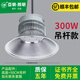亞明照明亞明led工礦燈超亮300W200鰭片倉(cāng)庫(kù)廠房吊燈工廠車(chē)間照明倉(cāng)庫(kù)吊燈 300W吊桿款-光學(xué)透鏡-亞明照明