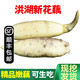 沃鮮谷【順豐】湖北洪湖新鮮蓮藕 脆嫩蓮藕 25年新藕 新鮮應(yīng)季蔬菜 4斤 | 脆嫩鮮甜