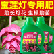 寶蓮燈專(zhuān)用肥寶蓮花營(yíng)養液肥料室內家用盆栽植物花卉綠植水溶開(kāi)花 寶蓮燈營(yíng)養液1瓶【送噴壺】