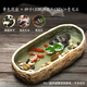寵小帥 古法養(yǎng)魚缸生態(tài)造景碗蓮陶瓷盆陽臺(tái)水培池家用客廳小型裝飾荷花睡花盆小烏龜缸庭院復(fù)古仿石頭魚缸 【陶瓷盆釉土黃】碗蓮10顆+溪流石500g+青龍石