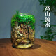 青苔苔蘚植物微景觀生態(tài)瓶養(yǎng)魚室內(nèi)桌面盆栽耐養(yǎng)流水成品套餐禮物 高山流水有流水