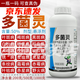 50%多菌靈殺菌劑果樹瓜果蔬菜土壤殺菌花卉植物殺菌藥白粉稻瘟病 1000g