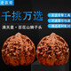 老農(nóng)哥文玩核桃淶水麻核桃天然把玩老款獅子頭收藏珍藏手玩核桃 滿天星獅子頭39-40mm一對(duì)