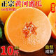 枝遙（ZHIYAO）陜西現(xiàn)摘黃河蜜瓜10斤哈密瓜脆甜黃金蜜瓜新鮮當季沙漠甜瓜整箱 黃河蜜瓜  9斤（凈重8.5斤）