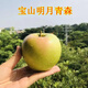 青小森青島寶山明月青森蘋(píng)果水蜜桃青蘋(píng)果4.5斤精選新鮮大果直發(fā) 4.5-5斤7-9枚（口感更好）