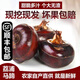 GANXIAN廣西桂林荔浦新鮮馬蹄【順豐速運(yùn)】農(nóng)家現(xiàn)挖自種荸薺脆甜火鍋材料 5斤 大果