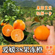 愛(ài)之歌 果凍橙愛(ài)媛38號新鮮當季水果 薄皮甜 多汁 整箱 果園現摘現發(fā) 特大果凈重9斤 （果徑85mm以上）