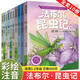 【6-12歲】法布爾昆蟲(chóng)記全套10冊注音版兒童科普百科繪本小學(xué)生彩圖課外閱讀書(shū)兒童繪本讀物一年級二三四五六年級趣味昆蟲(chóng)動(dòng)物百科全書(shū) 【1-2年級】法布爾昆蟲(chóng)記10冊-彩圖注音版 課外閱讀