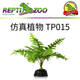 REPTIZOO變色龍爬寵箱造景仿真植物裝飾守宮蛇魚(yú)缸造景裝飾藤蔓 蕨類(lèi)波士頓