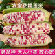鮮小京新鮮花糯玉米10斤 現(xiàn)摘當(dāng)季花甜糯水果玉米苞谷嫩玉米棒子蔬菜 9斤裝  花玉米