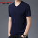 皮爾卡丹（pierre cardin）夏季桑蠶絲短袖t恤男大碼V領(lǐng)修身男士打底衫胖子肥佬真絲休閑上衣 上青 4XL 195碼建議210-235斤