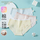 芬騰可安（FENTENGCARE）3條裝女士內(nèi)褲夏季薄透氣三角褲內(nèi)褲女YR