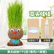 聽(tīng)雪樓頭上長(zhǎng)草娃娃草頭開(kāi)花兒童種植小盆栽種草綠植觀察植物生長(zhǎng)幼兒園  草頭娃娃20個(gè)+噴壺+底托