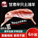 公羊半只羊羊羔肉羊肉新鮮灘羊肉整只羊排中秋送禮盒 【土灘羊半只切塊】6斤順豐