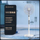 艾美特（AIRMATE）電風(fēng)扇落地扇靜音家用風(fēng)扇遠程遙控定時(shí)電扇落地扇立式客廳宿舍搖頭轉頁(yè)扇 16吋五葉遙控款（可升降）