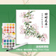 國風(fēng)水彩線(xiàn)稿臨摹集 水彩涂色臨摹畫(huà)冊 水彩填色線(xiàn)稿 花卉故宮山海經(jīng)美人 全棉漿細紋水彩紙300g 水彩畫(huà)上色 四時(shí)花卉+36色固體水彩顏料+自來(lái)水筆