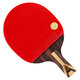 紅雙喜狂飆九星乒乓球拍單拍黑檀面材芳碳5+2AC結構 7層攻防H9006直含球