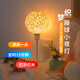 愛耐特床頭燈臥室氛圍燈插電遙控定時(shí)藤球柔光語音聲控小夜燈宿舍壁燈 智能語音款-3W【三色切換】
