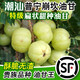 LOUISE【順豐-貴點(diǎn)品質(zhì)好】油甘果新鮮潮汕甜油柑子滇橄欖余甘果牛甘果 1斤