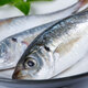 海鮮頌東山島巴浪魚 海捕魚  冷凍海捕鳀魚 海鮮水產(chǎn) 魚類 500g/(4-5)條