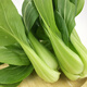 密之藍天農(nóng)家新鮮蔬菜油菜約450g生鮮嫩寶寶小油菜鮮嫩葉菜類火鍋食材現(xiàn)摘 450g