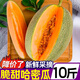 鶯棲新鮮哈密瓜10斤當季時令水果甜瓜現(xiàn)摘網(wǎng)紋西州蜜果脆甜多汁香瓜整 哈密瓜 帶箱3斤 凈重2.5斤