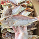 閘坡船鮮曬金線魚(yú)海魚(yú)陽(yáng)江一夜埕咸魚(yú)干海魚(yú)干紅三魚(yú)紅杉魚(yú)紅哥里刀鯉魚(yú) 一夜埕紅杉魚(yú)干  500g【肉較實(shí)】