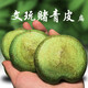 老農哥【現貨】青皮扁核桃文玩新果把玩異形桃心形雕刻用料夾片吊墜單只