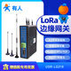 有人lora無(wú)線網(wǎng)關(guān)集中器RS232\485遠(yuǎn)程網(wǎng)絡(luò)邊緣采集4500米數(shù)據(jù)傳輸LG210-L 網(wǎng)關(guān)（以太網(wǎng)+4G版）LG210-L-42