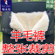 啄木鳥新款羊毛褲內(nèi)膽皮毛一體棉褲男女中老年加厚保暖防寒整張環(huán)保皮褲 加厚整張+環(huán)保羊毛褲AD08 XL 135-160斤