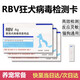 新寵到家狂犬病檢測(cè)卡貓咪狗狗狂犬病毒健康檢測(cè)RBV病毒檢測(cè)試紙 RBV狂犬檢測(cè)卡單支
