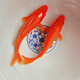 中國紅冷水淡水觀賞魚錦鯉魚活魚金魚小型好養(yǎng)紅鯉魚純種小錦鯉 6-8cm長紅金4條