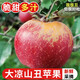 探味君 正宗大涼山丑蘋(píng)果 當(dāng)季時(shí)令新鮮水果四川冰糖心蘋(píng)果紅富士 生鮮 凈重4.5-5斤 單果60mm-65mm（迷你果）