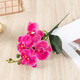蝴蝶蘭仿真花擺件客廳假花插花花束塑料花2023新款擺設單支高級感 四頭蝴蝶蘭-玫紅色