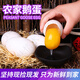 嫩個(gè)鵝蛋鮮土鵝蛋6枚農家雜糧喂養土特產(chǎn)孕婦包包營(yíng)養鵝蛋當日