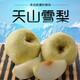 瀚部天山雪梨 趙縣冰糖雪梨翠冠新鮮水果特產(chǎn)貢梨 精選5斤裝