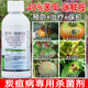 滬聯(lián)植保農藥苯甲咪鮮胺鮮咪劑炭疽病專(zhuān)用藥辣椒蔬菜柑橘果樹(shù)草莓農用殺菌 1000g