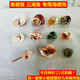 藍(lán)海精靈 天然大海螺  三湖j卷貝魚卵孵化躲避魚缸水草螺 寄居蟹替換殼 11只套餐螺