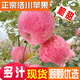洛川蘋果陜西延安特產(chǎn)紅富士時(shí)令蘋果水果禮盒送蘋果生鮮新鮮脆甜整箱批發(fā) 5斤75-80mm（凈重4.5斤）中果