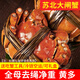 【活蟹】大閘蟹現(xiàn)貨鮮活特大全母蟹活螃蟹河蟹生鮮禮盒裝水產(chǎn)直發(fā) 全母蟹2-2.3兩 【4只裝】