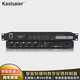 KAXISAIER AFX-50防嘯叫反饋抑制器 5進(jìn)1出48V供電會(huì )議室麥克風(fēng)全自動(dòng)移頻器 AFX-50 反饋抑制器